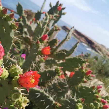 Apartament Soleado